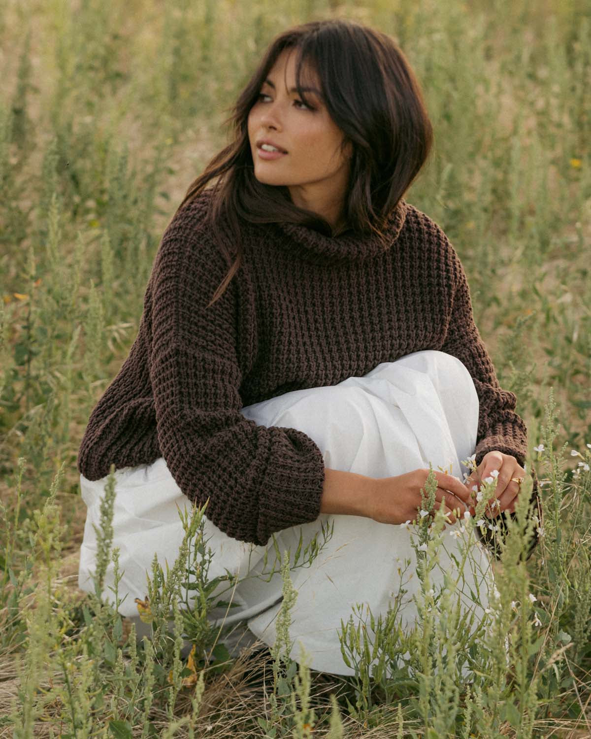 Les Alpes Sweater | Cocoa