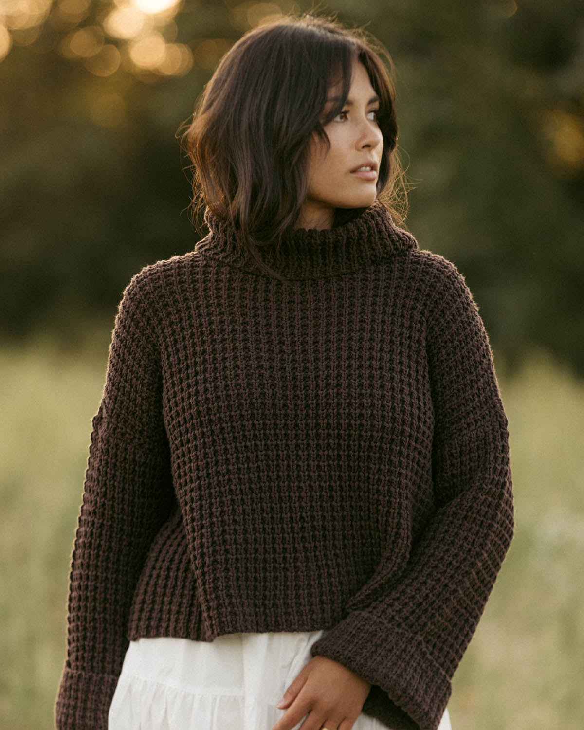 Les Alpes Sweater | Cocoa